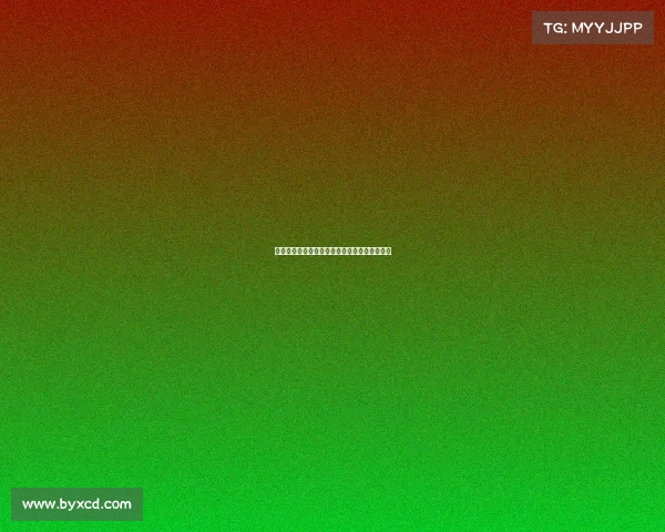 布伦瑞克队重回德甲巅峰之路：挑战与机遇并存