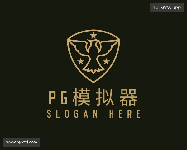 认识pg模拟器